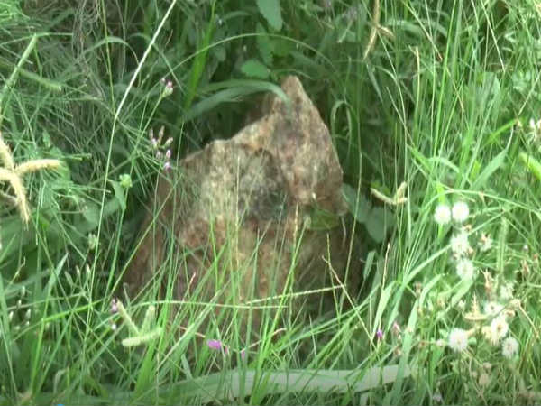 நிர்வாண டான்ஸ் நிர்வாண டான்ஸ்