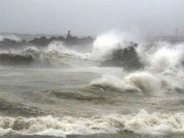 வீடியோ வைரல் 