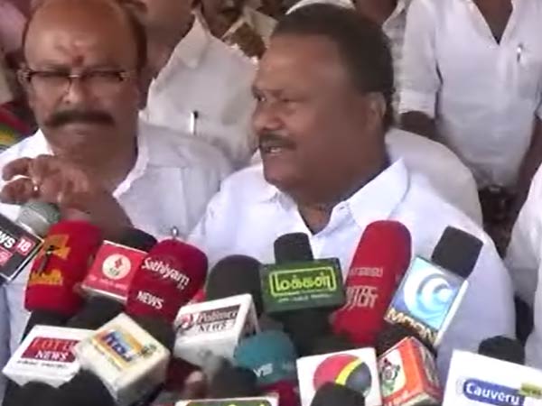 சிங்கம், புலி 