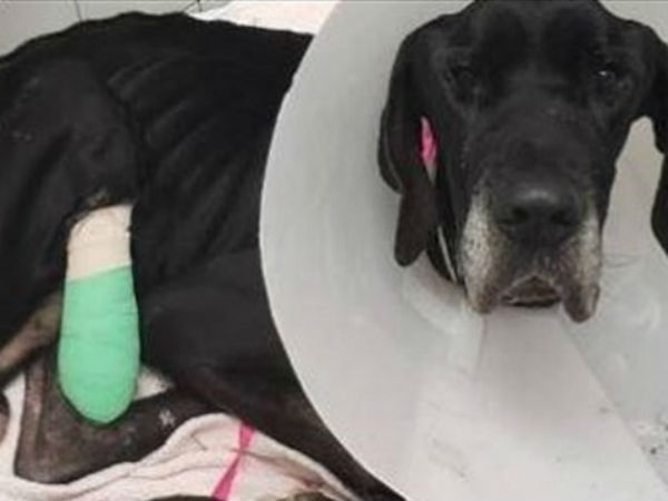 சாப்பாடு தந்தனர் 