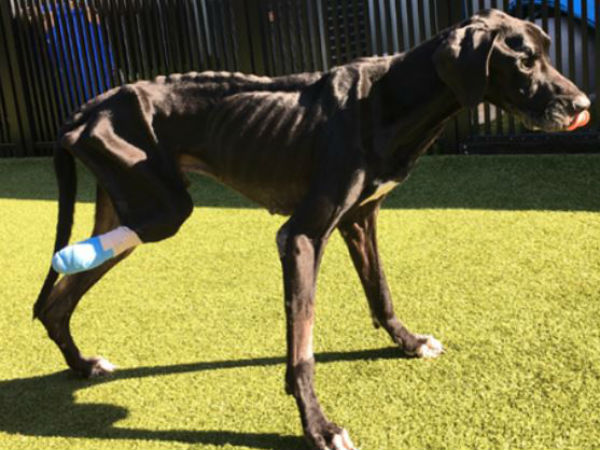 போன் செய்தார் 