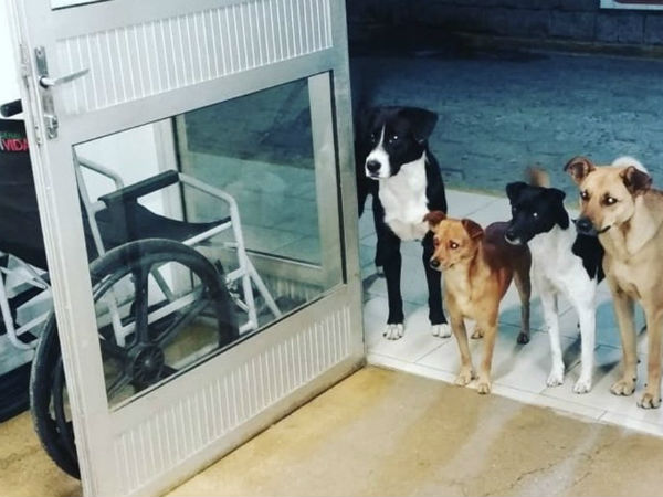 தாங்க முடியவில்லை 