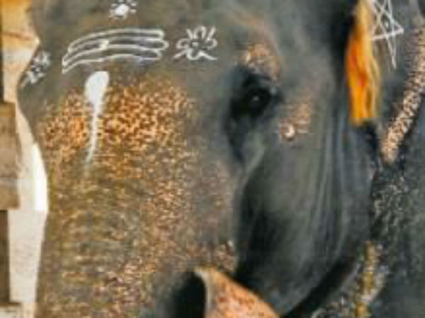 6 வருடங்கள் 