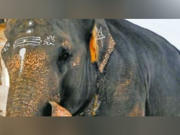 மன அழுத்தம் குறையும் 