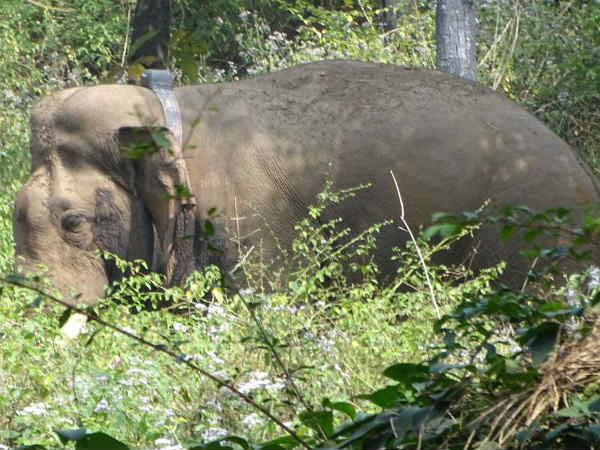 கண்கலங்கிய மக்கள் 