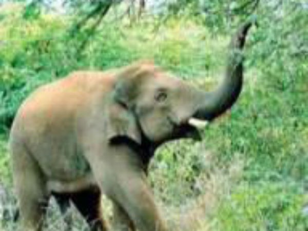 இஷ்டத்துக்கு ஆட்டம் 