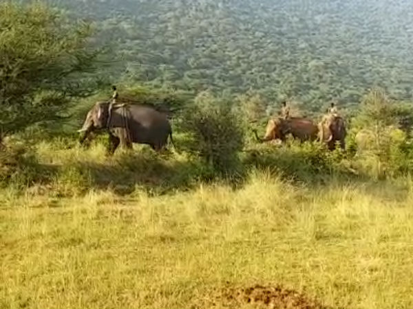 ஆபரேஷன் விநாயக் 