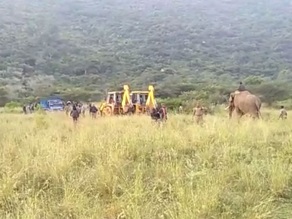 கலெக்டர் வேண்டுகோள் 