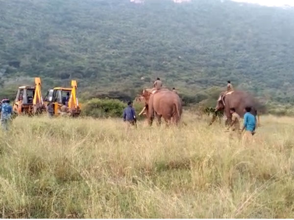 அகப்பட்ட விநாயகன் 