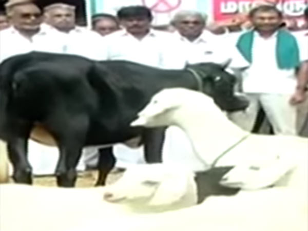 அருகிலும் பரவியது 