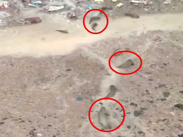 நல்ல பெயர் 