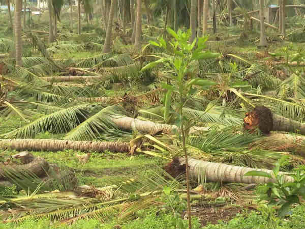 அரசியலை விட்டு விலகுகிறேன் 