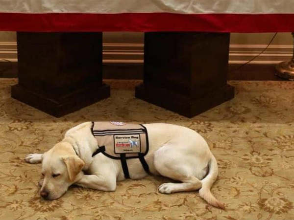 கதவை திறந்துவிடும் 