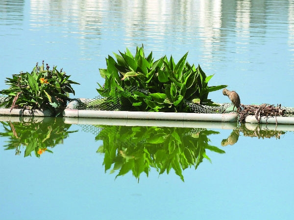 எப்படிப்பட்ட தீவு இது 