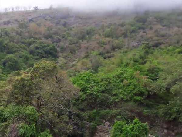 விசாரணை விசாரணை