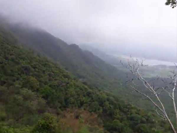 பனிமூட்டம் பனிமூட்டம்