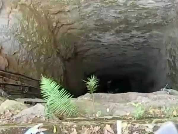 பெரும் கொடுமை 