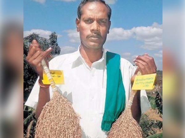 பண்ணை வீடு 