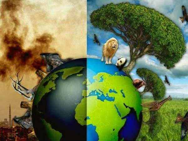 இந்தியா 7 சதவீதம் 