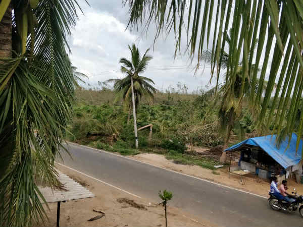 தெளிவுபடுத்த வேண்டும் 