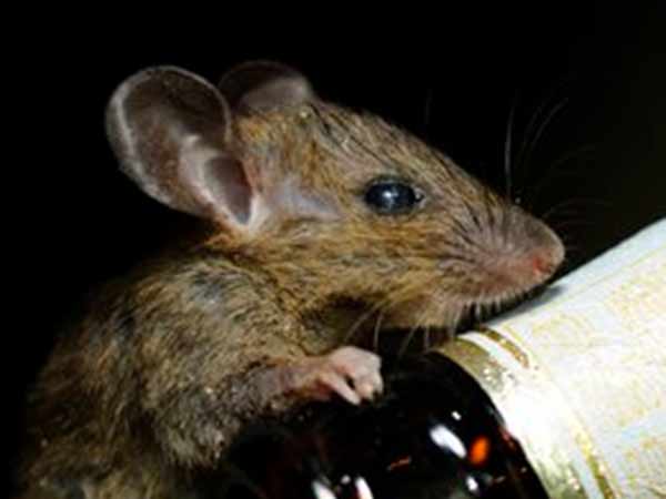 அதிர்ச்சி: அதிர்ச்சி: