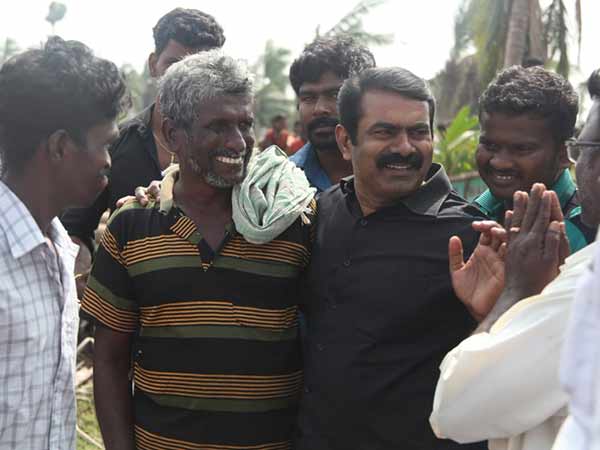 தென்னங்கன்றுகள் 