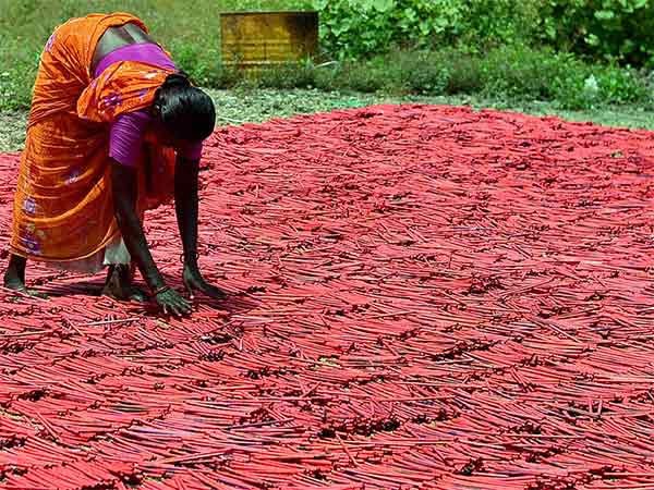  2 மணி நேரம் மட்டுமே வெடிக்க அனுமதி