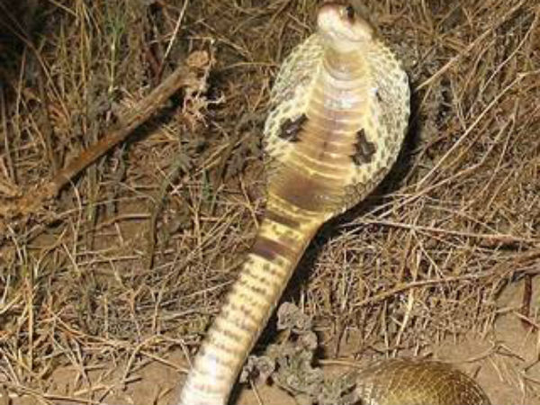 குவிகிறது பாராட்டு 