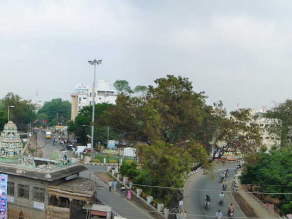 திருப்பூர் சாதனை 