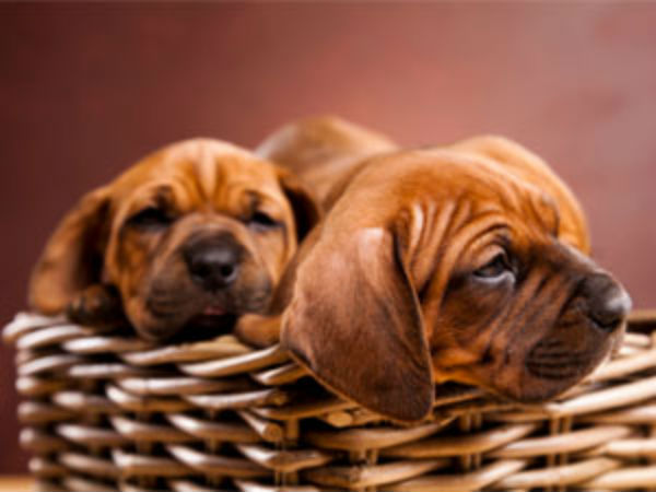 சைக்கோ யார்? சைக்கோ யார்?