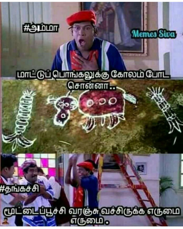 Memes on Mattu pongal