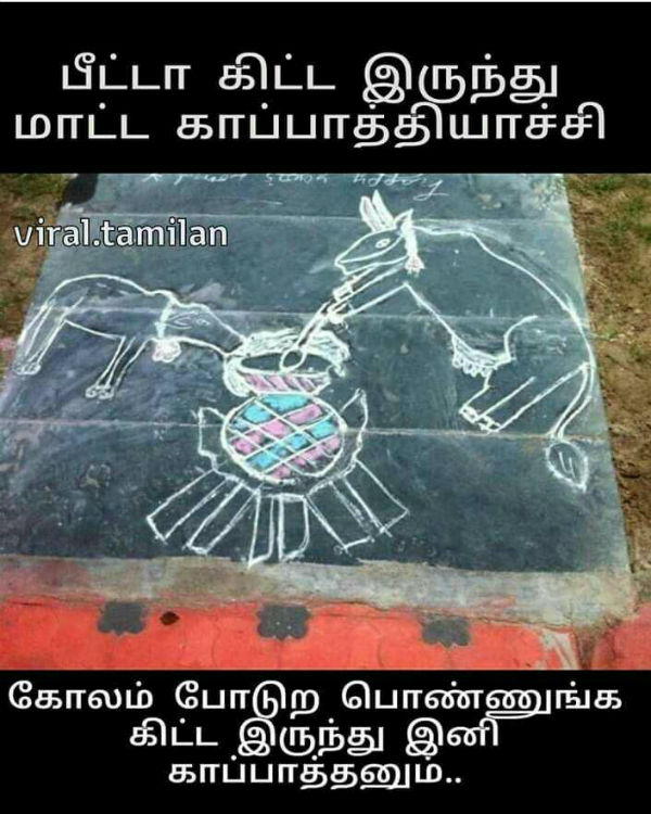 Memes on Mattu pongal
