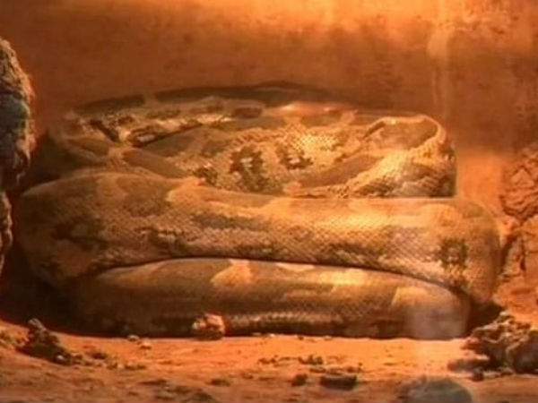 புது ஐடியா 