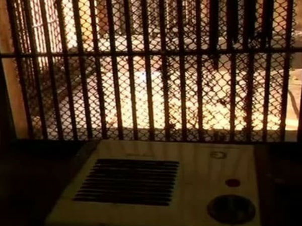 பாம்புக்கு பல்பு 