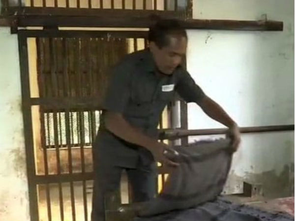 கோதுமை புல் படுக்கை 