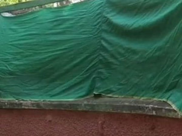 விழிக்கின்றன 