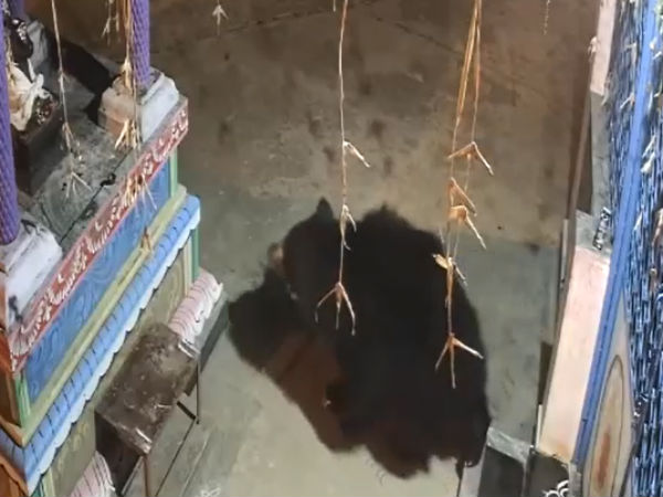 விளக்குகள் 