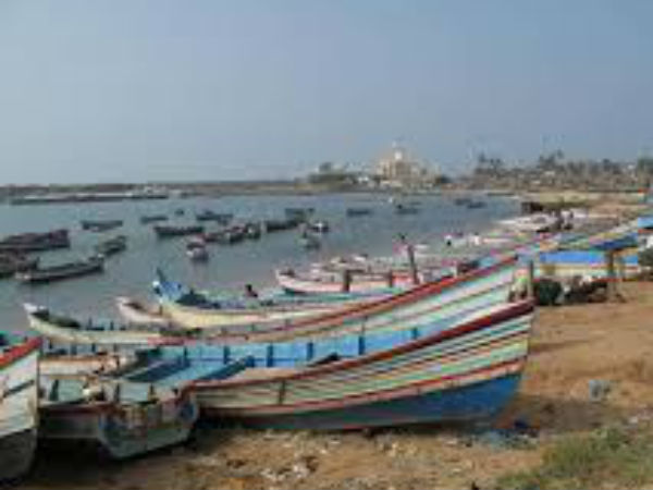 230 உயிருடன் உள்ளனரா? 