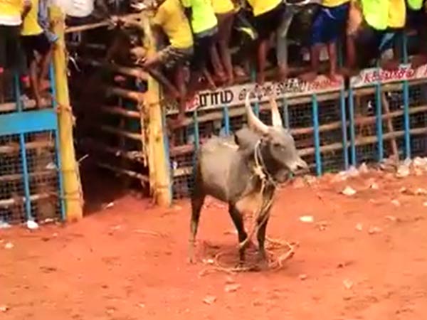 ஓடாதீங்கப்பா 