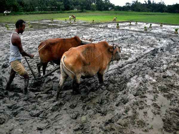 யார் ஏழை 