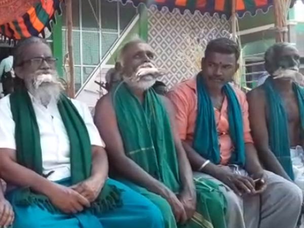 எலி, பாம்பு கறி 