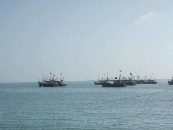 நியூசி.சென்றதா படகு? 