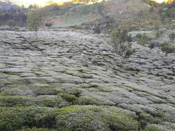 மக்கள் அவதி 