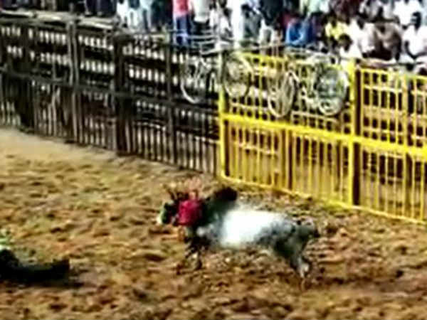 குழுக்கள் பிரிப்பு 