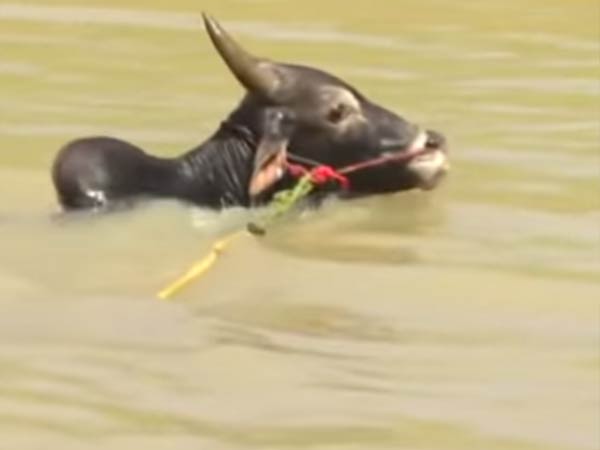 செல்வாக்கு 