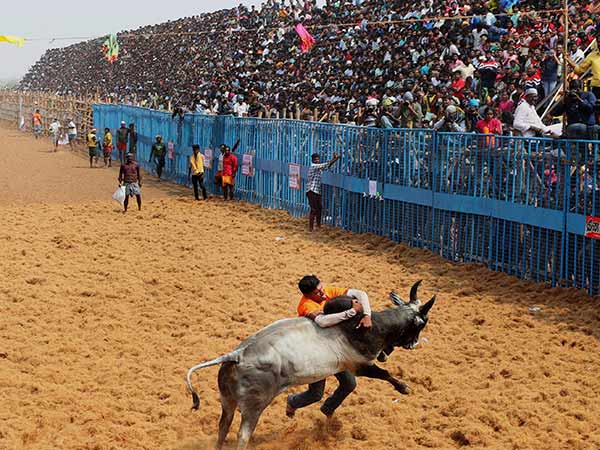 பாதுகாப்பு பணி 