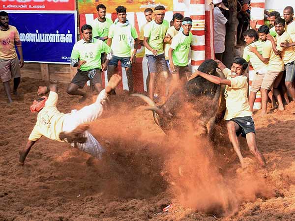 ஆரவாரம் 