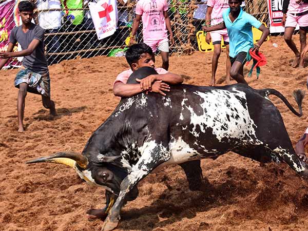 இன்சூரன்ஸ் 