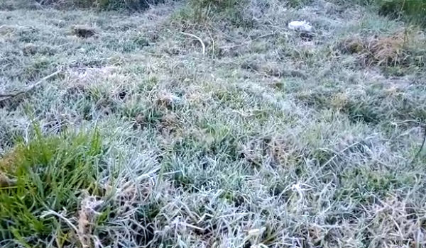 வெறிச்சோடுகிறது 