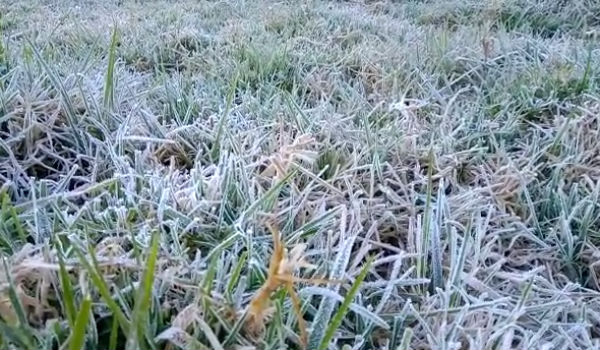 பஸ் ஓட்ட முடியவில்லை 